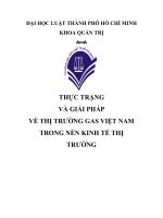 kinh tế vi mô thuyết trình giá gas việt nam trong nền kinh tế thị trường
