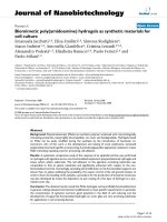 báo cáo khoa học: 