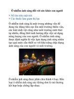 Ô nhiễm ánh sáng đối với sức khỏe con người pptx