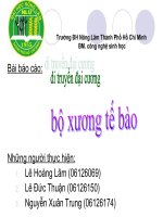 Bộ xương tế bào pdf