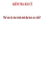 Giáo án điện tử sinh học:Sinh học lớp 12- Dòng năng lượng trong HST và hiệu suất sinh thái 1 pdf