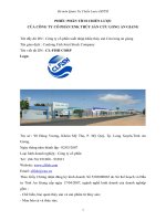 phân tích chiến lược công ty xnk cửu long an giang