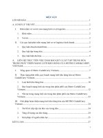 các quy luật phát triển mạng lưới logistic kinh doanh thương mại  liên hệ việc áp dụng quy luật tập trung hóa trong phát triển mạng lưới kho hàng tại metro cash&carry vietnam