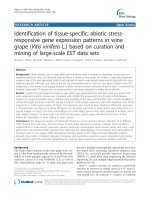 báo cáo khoa học: 