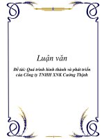 Đề tài: Quá trình hình thành và phát triển của Công ty TNHH XNK Cường Thịnh docx