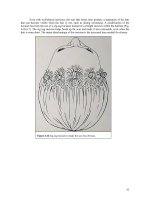 General Principles for Approaches to the Facial Skeleton - part 6 pot