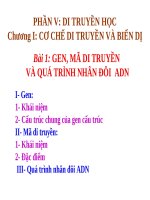 Giáo án điện tử môn sinh học:Sinh học lớp 12- Gen ma di truyền và quá trình nhân đôi ADN pptx