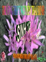 Giáo án điện tử môn sinh học: Sinh học lớp 12- Mối quan hệ sinh dưỡng- Tự dưỡng docx