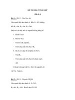 ĐỀ THI HSG TỔNG HỢP ( Đề số 4) docx