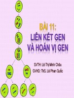 Giáo án điện tử sinh học: Sinh học lớp 12- Liên kết Gen và Hoán Vị Gen(Sinh học 12-Bài 11) potx