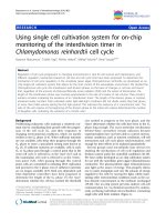 báo cáo khoa học: 