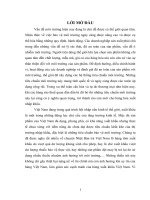 áp dụng các tiêu chuẩn môi trường nhằm nâng cao sức cạnh tranh của hàng hóa xuất khẩu việt nam trên thị trường thế giới