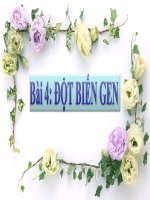 Giáo án điện tử môn sinh học: Sinh Học lớp 12- Nghiên cứu về đột biến Gen pdf