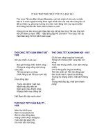 22 BÀI THƠ CHÚC TẾT CỦA BÁC HỒ pot