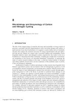 Enzymes in the Environment: Activity, Ecology and Applications - Chapter 8 potx