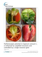 báo cáo khoa học: 