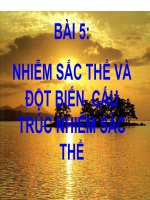 Giáo án điện tử sinh học: Sinh học lớp 12-NHIỄM SẮC THỂ VÀ ĐỘT BIẾN CẤU TRÚC NHIỄM SẮC THỂ(tiết 1) pptx