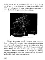 Sổ tay nghệ nhân cây cảnh part 8 pot