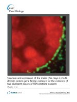 báo cáo khoa học: 