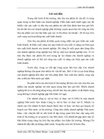 một số giải pháp nhằm thúc đẩy tốc độ tiêu thụ sản phẩm thuốc bảo vệ thực vật ii