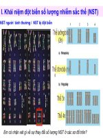 Giáo án điện tử môn sinh học: Sinh học lớp 12-Khái niệm đột biến số lượng nhiễm sắc thể (NST) pps
