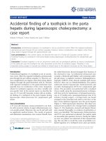 báo cáo khoa học: 