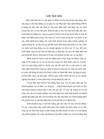 Hoàn thiện nghiệp vụ kế toán tiêu thụ hàng hoá và xác định kết quả kinh doanh tại công ty TNHH thương mại và dịch vụ ngọc hà