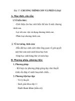 Bài 17: CHƯƠNG TRÌNH CON VÀ PHÂN LOẠI potx