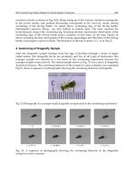 Biomimetics Learning from nature Part 12 ppt
