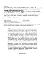 báo cáo khoa học: 