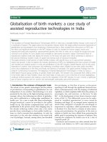 báo cáo khoa học: 