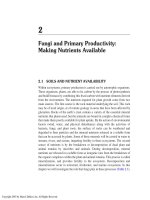 FUNGI IN ECOSYSTEM PROCESSES - CHAPTER 2 ppsx
