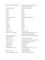 Tiếng anh chuyên ngành địa chất part 4 potx