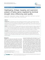 báo cáo khoa học: 