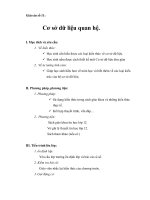 Giáo án số 11:Cơ sở dữ liệu quan hệ. pot