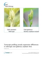 báo cáo khoa học: 