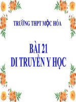 Giáo án điện tử môn sinh học: Sinh học lớp 12- Bài 21- Di truyền y học pdf