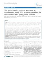 báo cáo khoa học: 