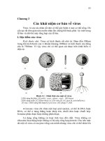 Các khái niệm cơ bản về virus ppt