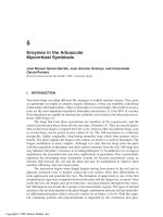 Enzymes in the Environment: Activity, Ecology and Applications - Chapter 5 ppt