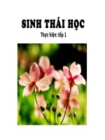 Giáo án điện tử sinh học: Sinh học 12- Sinh thái học cá thể pps