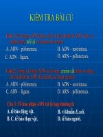 Giáo án điện tử sinh học:Sinh học lớp 12- Bài giảng sinh học 12 phần 4 potx