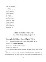 phiếu phân tích chiến lược kinh doanh quốc tế - công ty việt an