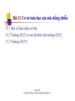 toan hoc chong nhieu pot