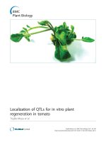 báo cáo khoa học: 