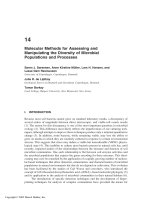 Enzymes in the Environment: Activity, Ecology and Applications - Chapter 14 doc