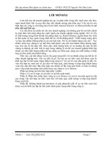 phân tích chiến lược công ty levis strauss