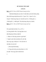 ĐỀ THI HSG TỔNG HỢP ( Đề số 8) pps