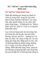 Trị ” Giời leo”, zona thần kinh bằng thuốc nam doc