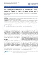 báo cáo khoa học: 